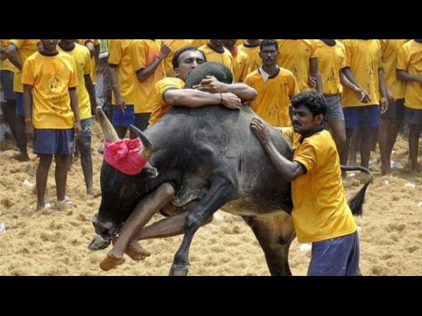 యువత తప్పుబట్టారు;