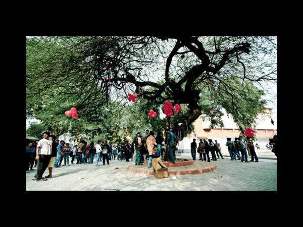లోఫర్తో ఆటపాట.. ధోనితో బాలీవుడ్లోకి