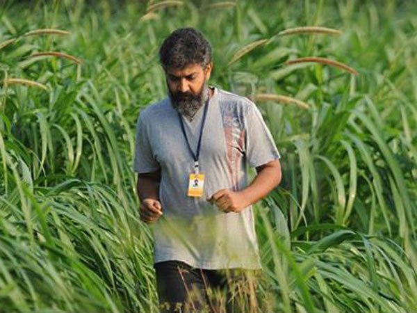ప్లానింగ్ పూర్తి చేసారు