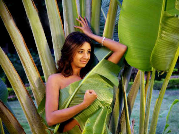 చంద్రి పాత్ర ఆమెది....