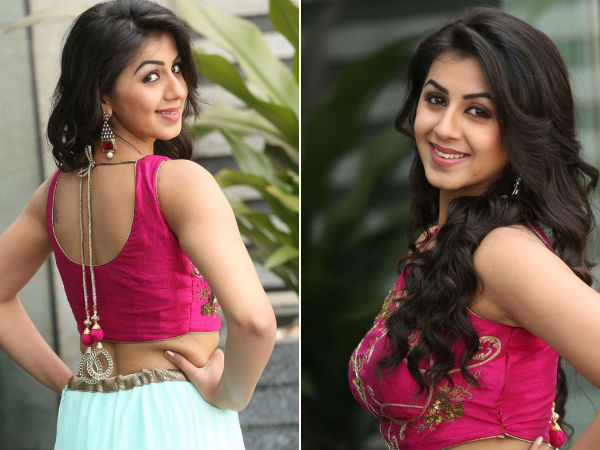 Nikki Galrani is like my sister: Sreeshanth Nikki Galrani is like my sister: Sreeshanth