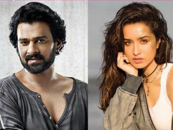 బాలీవుడ్ హీరోయిన్ కోసం వేట