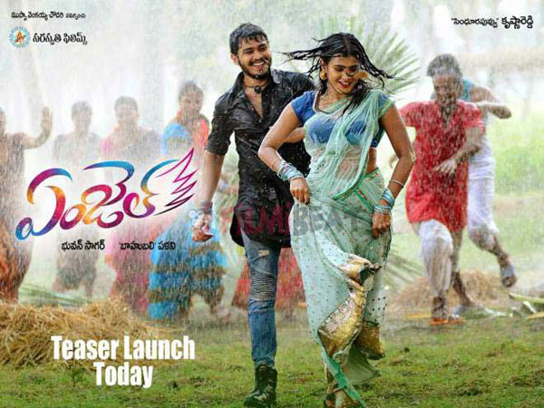 రాజమౌళి శిష్యుడు పళని