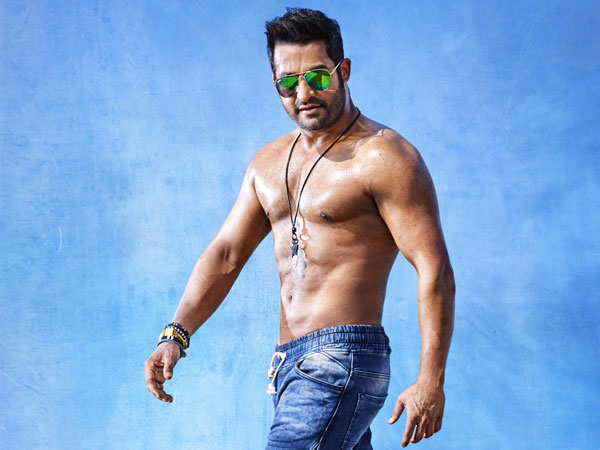టెంపర్' హిందీ రీమేక్