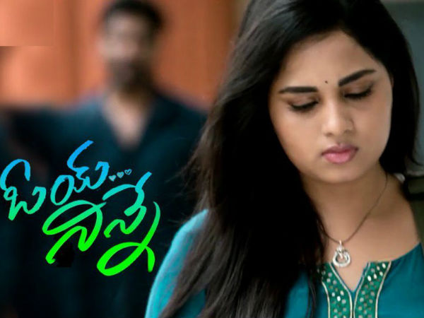 దర్శకుడి పని తీరు