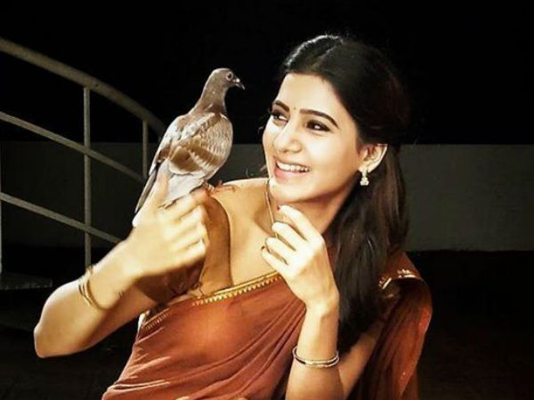 సమంతకు సపోర్టుగా నాగార్జున