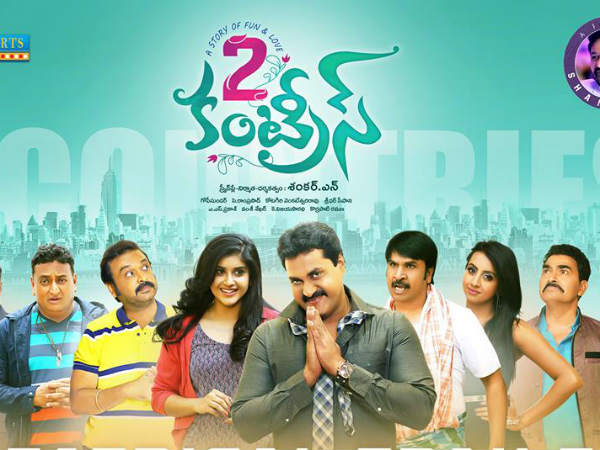 2 కంట్రీస్ మూవీ కథ