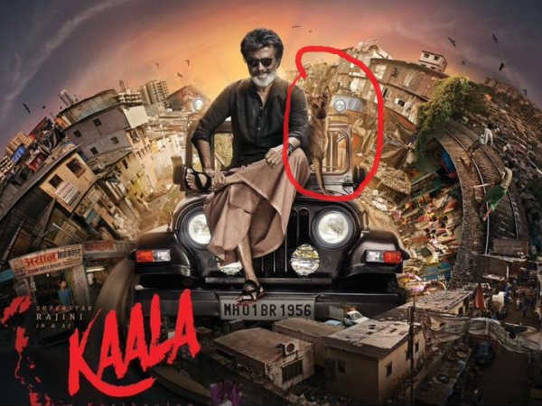 Huge demand for Kaala movie dog Huge demand for Kaala movie dog