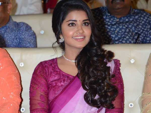 అనుపమ పరమేశ్వరన్ యాక్టింగ్ గురించి