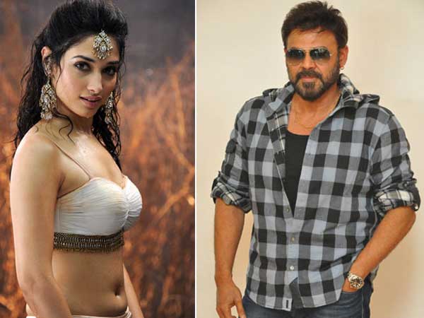 Tamannaah to romance with Venkatesh in F2 Tamannaah to romance with Venkatesh in F2
