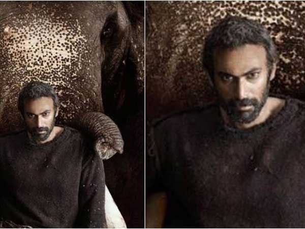 rana movie latest news, the movie directed by prabhu salman rana movie latest news, the movie directed by prabhu salman