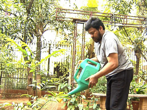 Megastar Chiranjeevi participated in HarithaHaram Megastar Chiranjeevi participated in HarithaHaram