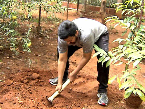 Megastar Chiranjeevi participated in HarithaHaram Megastar Chiranjeevi participated in HarithaHaram
