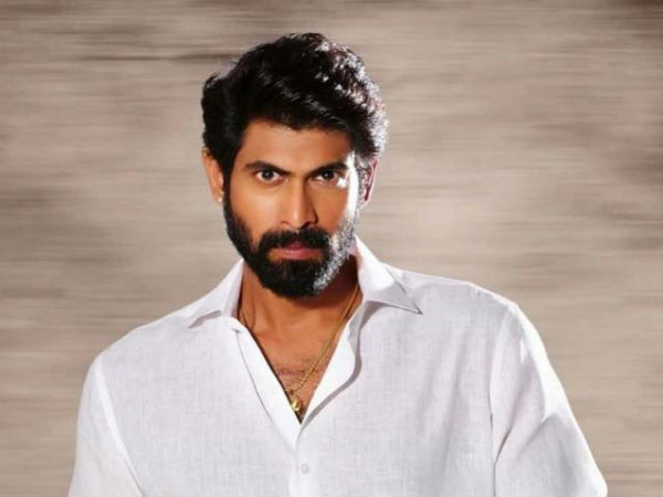 ఎన్నికలకు ముందు