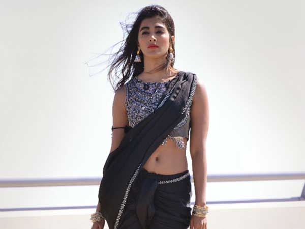డీజే తర్వాత వచ్చిన ఆఫర్తో