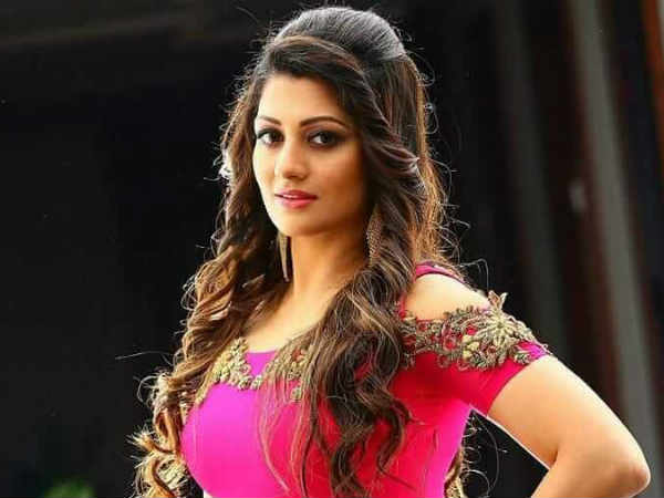 రాధిక కుమార స్వామి సినిమా కెరీర్