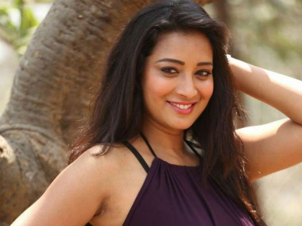 ఆ తరహాలోనే