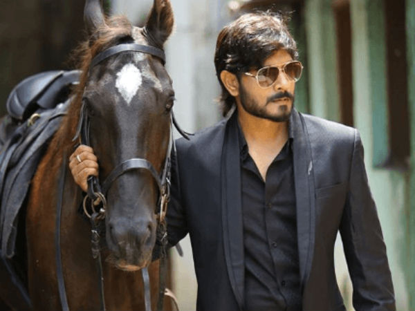 టాలీవుడ్లో అవకాశాలు