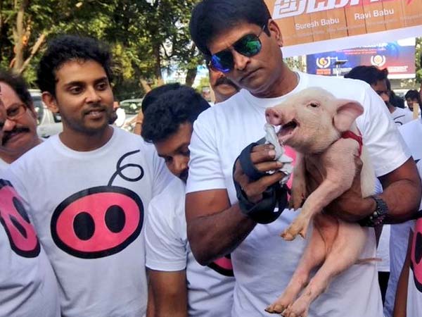 రవిబాబు దర్శకత్వ ప్రతిభ