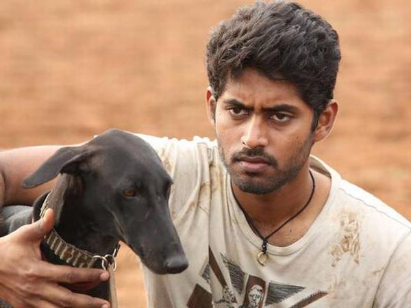 2018 ఉత్తమ చిత్రాలలో
