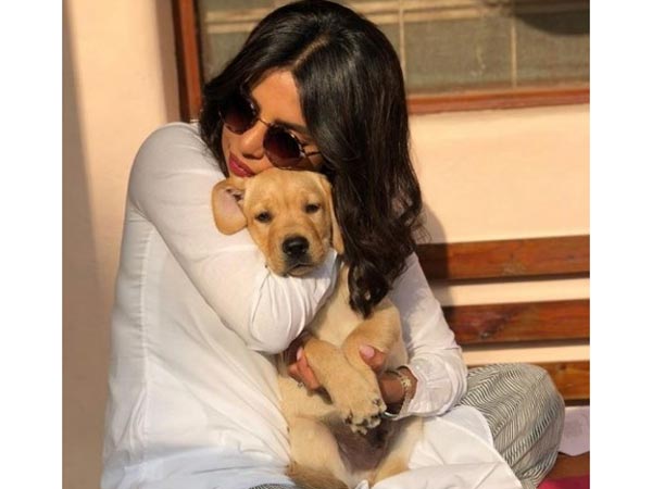 Priyanka Chopra: I was told I look like overcooked tomato and dog Priyanka Chopra: I was told I look like overcooked tomato and dog