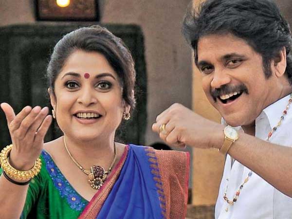 Script ready for Nagarjunas Bangarraju movie Script ready for Nagarjunas Bangarraju movie