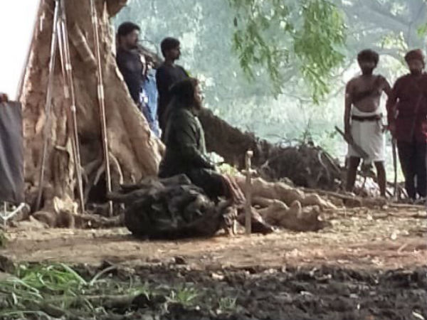 శాసిస్తున్న సైరా