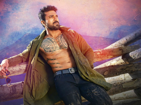 వినయ విదేయ రామ అందుకే ఫ్యాన్స్కు నచ్చలేదు