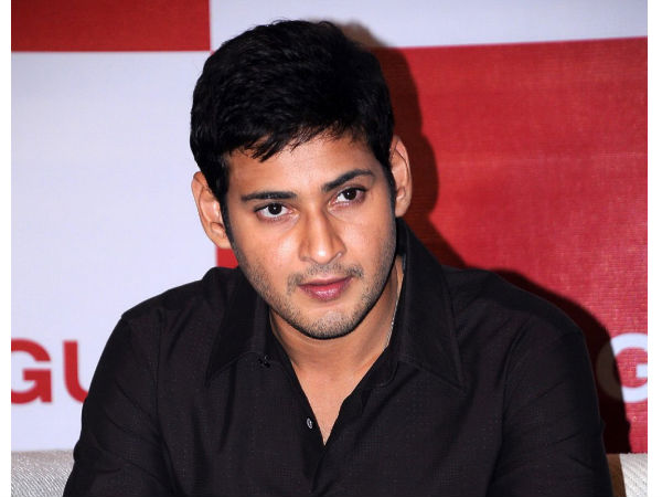 Mahesh Babu not impressed with Sandeep Vanga story Mahesh Babu not impressed with Sandeep Vanga story