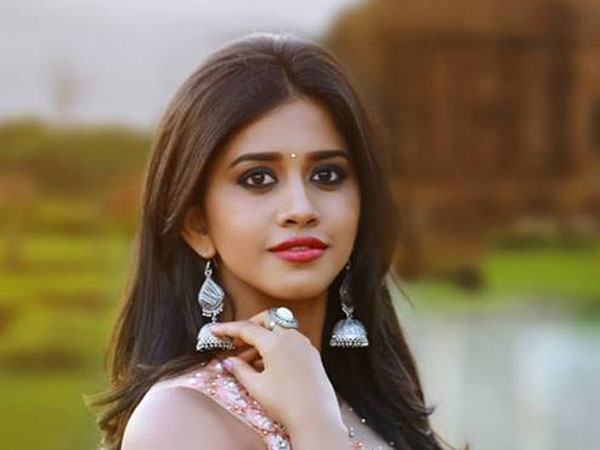 Nabha Natesh to speak Hyderabadi slang for Ismart Shankar Nabha Natesh to speak Hyderabadi slang for Ismart Shankar
