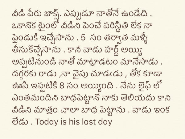 వీడిని చాలా బాధ పెట్టాను