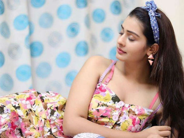 Payal Rajput gives clarity her next movie RDX Love Payal Rajput gives clarity her next movie RDX Love