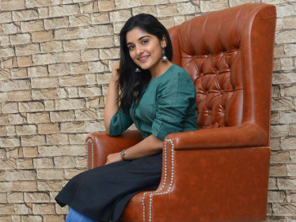 తెలుగులో వరుసగా ఆఫర్లు రావడంతో
