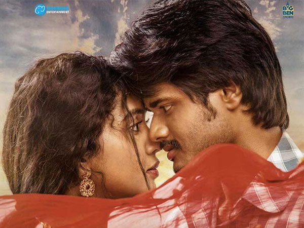 దర్శకుడి పనితీరు