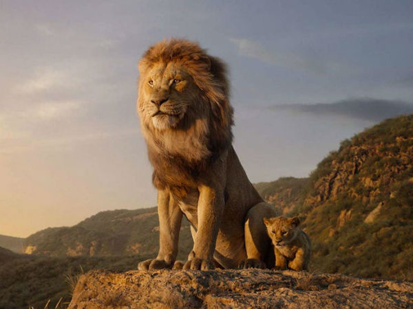 The Lion King racing towards 100 crores club The Lion King racing towards 100 crores club