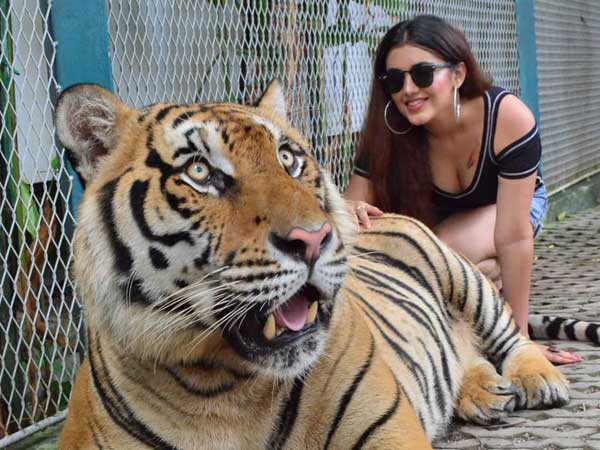 Malavika Sharma Trolled By Neitizens Malavika Sharma Trolled By Neitizens