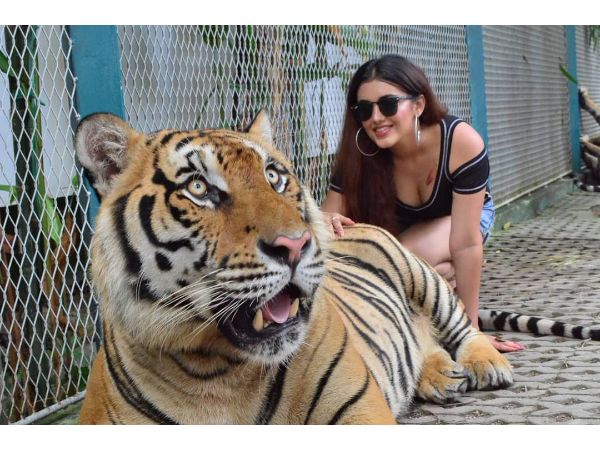 Nela ticket Beauty Malavika Sharma Dareness! Nela ticket Beauty Malavika Sharma Dareness!