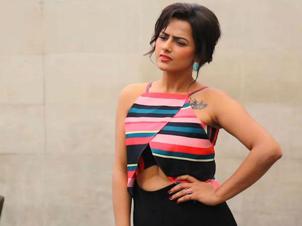 కెరీర్ ప్రారంభంలో.. శ్రద్ద శ్రీనాథ్
