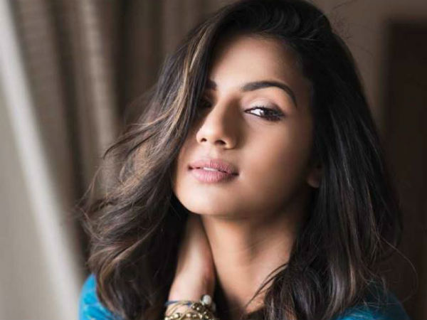 హీరో అర్జున్ సర్జాపై లైంగిక ఆరోపణలు