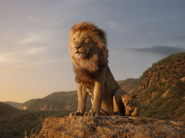 The Lion King Collects a whopping Rs. 54.75 CR in 3 DAYS The Lion King Collects a whopping Rs. 54.75 CR in 3 DAYS