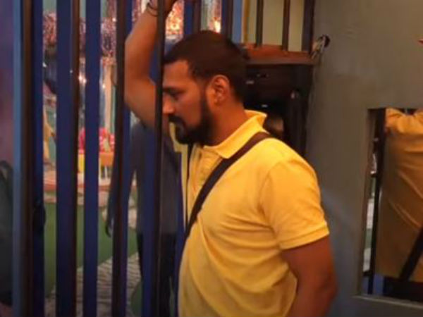 cricketSerious task in Bigg Boss Telugu 3 cricketSerious task in Bigg Boss Telugu 3