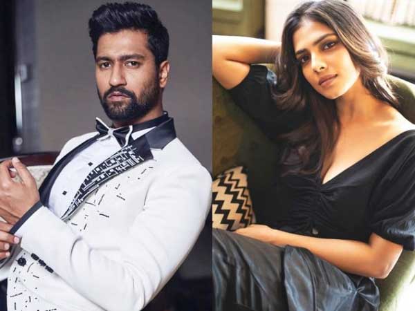 వికీ కౌశల్, మాళవిక రిలేషన్