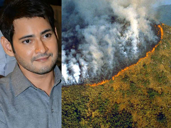 ఆవేదన వ్యక్తం చేస్తూ మహేష్ బాబు ట్వీట్