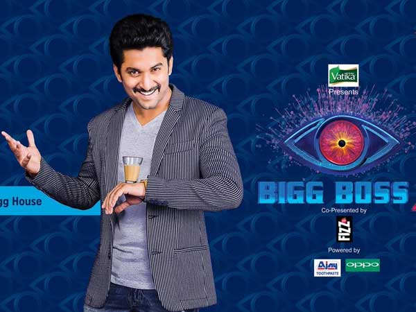 నాని మెప్పించినా..