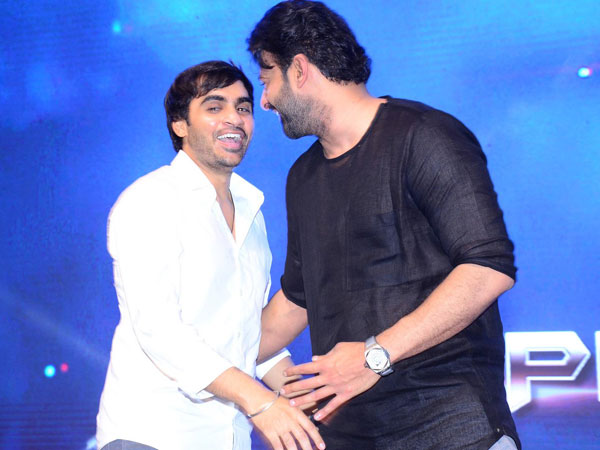 సుజీత్కు మాస్ పల్స్ బాగా తెలుసు