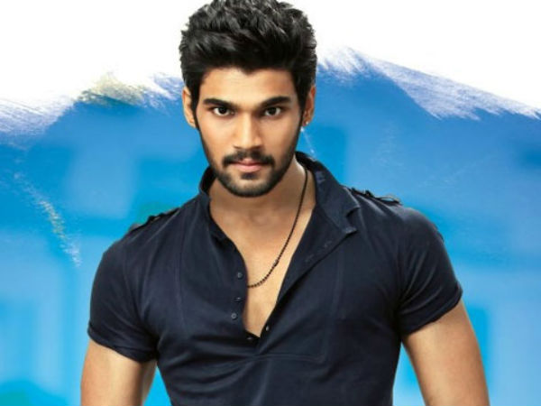 అప్పట్లో అల్లుడు శీను సెన్సేషనల్ హిట్