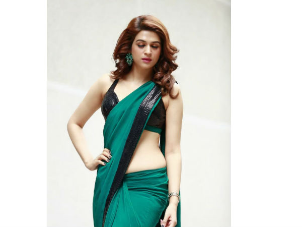 చీరకట్టులో పిచ్చెక్కిస్తూ..
