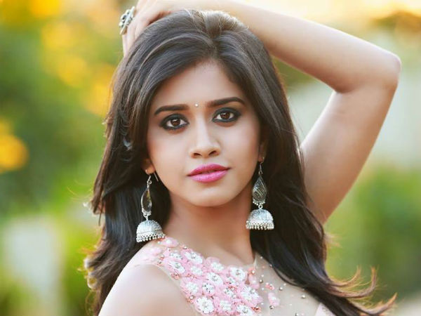 పైకానికి రెక్కలు