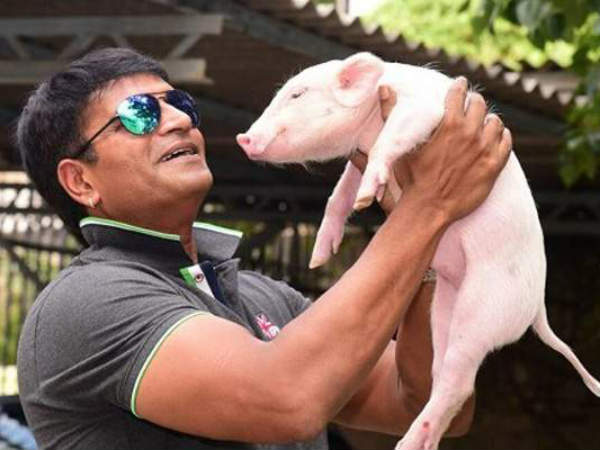 రీసెంట్గా పందితో సినిమా..