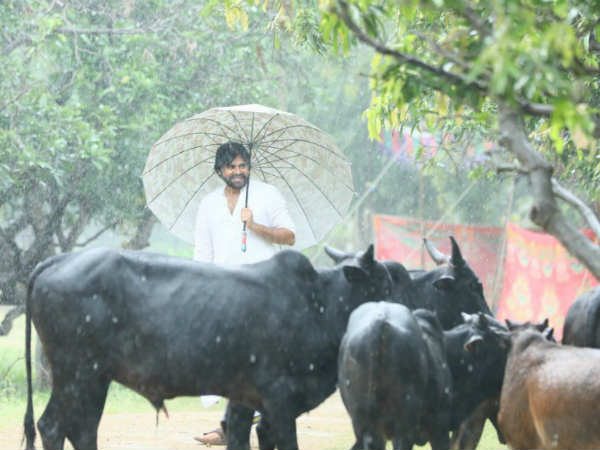 Pawan Kalyan Started Karthika Masam Vratham, Pics Goes Viral Pawan Kalyan Started Karthika Masam Vratham, Pics Goes Viral